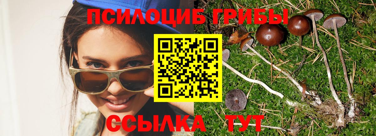 Галлюциногенные грибы ЛСД  Галлюциногенные грибы MAGIC MUSHROOMS  Артёмовский  цены наркотик  Вход с VPN 